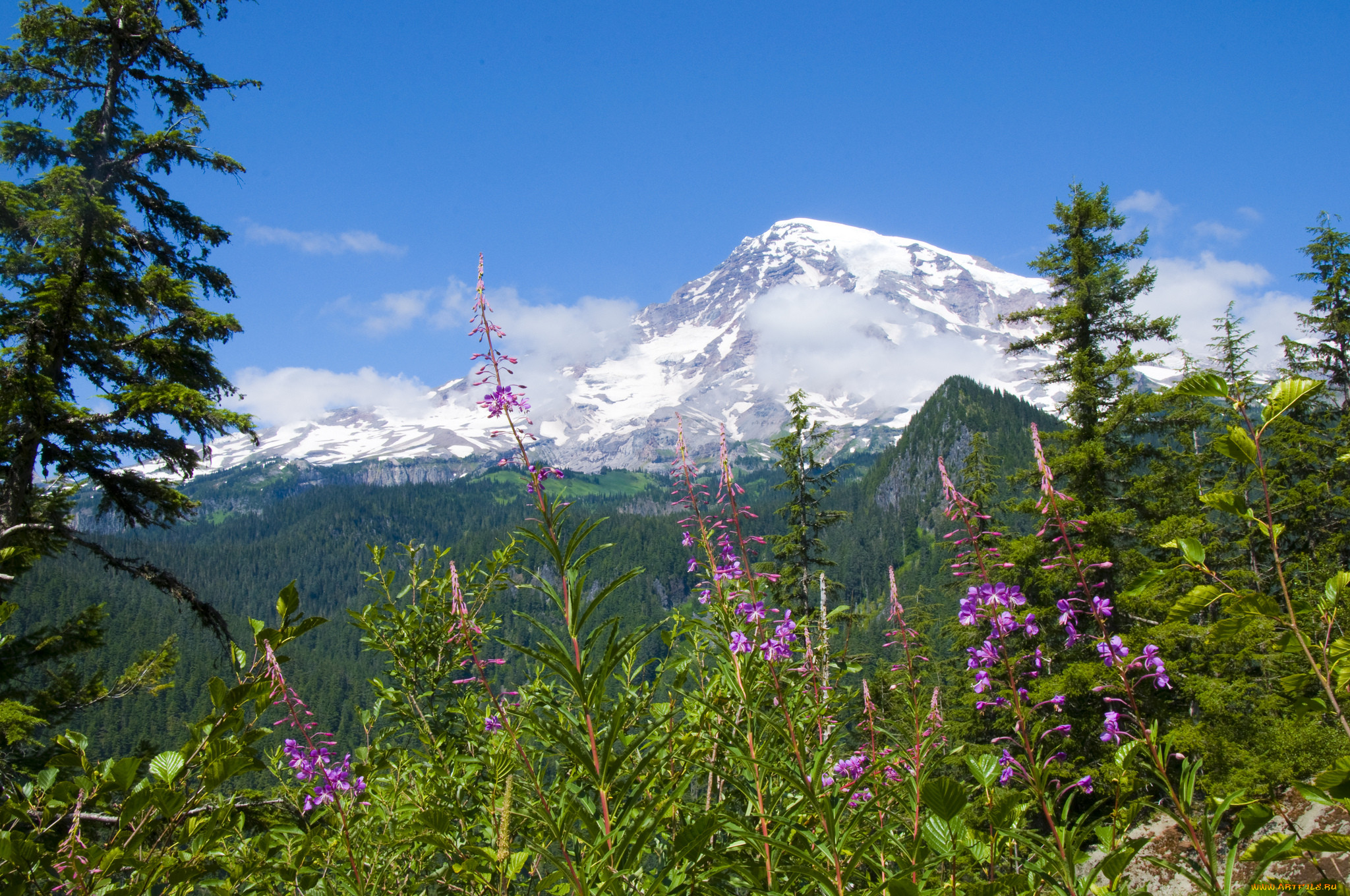 mount, rainier, national, park, , , , , -, , , 